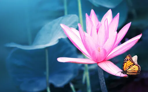 Day 10: The Heart Chakra