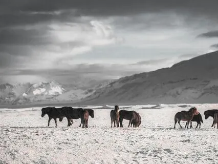 Day 10. Who's This In The Shower With Me?