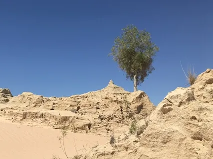 Day 11 - Loving Kindness - Daily 5 Minute Meditation