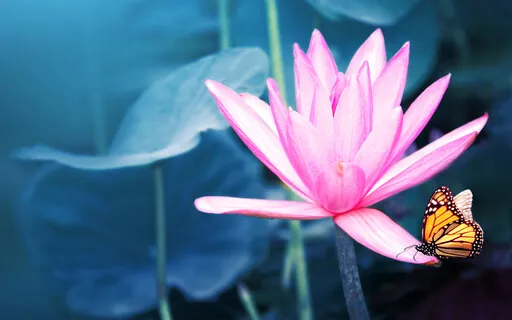 Day 11: The Throat Chakra