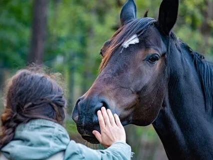 Day 12- A Course In Miracles 