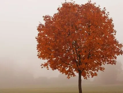 Day 12 - Clean Slate