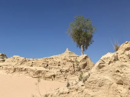 Day 12- Forgiveness - Daily 5 Minute Meditation