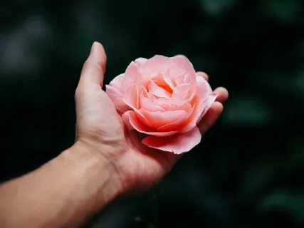 Day 13: Growth Through Gratitude - Flow With Family