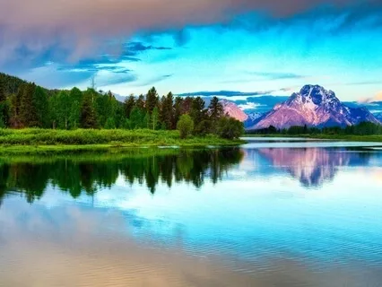 DAY 12 Purpose & Indian Tabla | 21 Days To A Happier You!