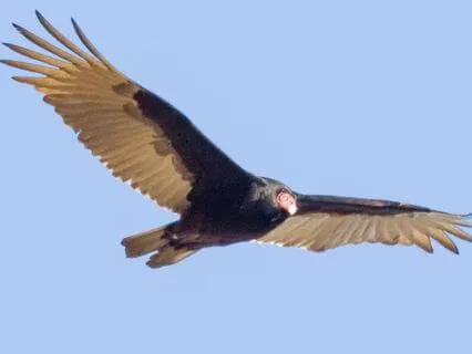 Day 13 Morning Meditation - A Moment To Be Still