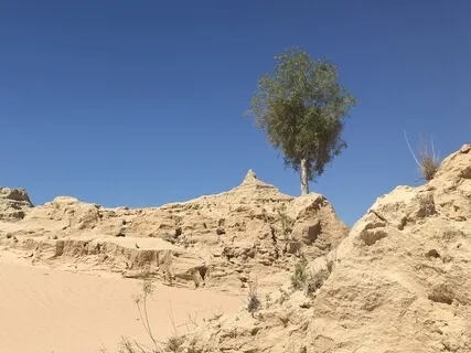 Day 13 - Self Belief - Daily 5 Minutes Of Meditation