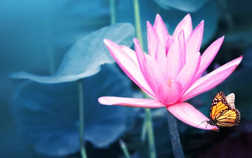 Day 13: The Crown Chakra