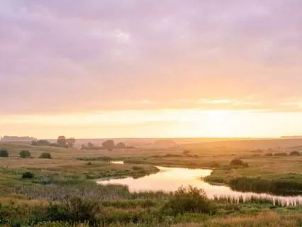 Day 14 — Cultivating An Abundant And Expansive Mindset