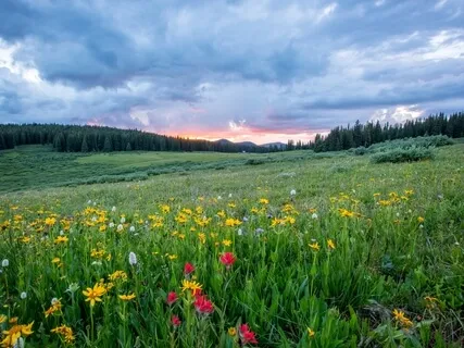 Day 15: Growth Through Gratitude - Learn, Release, Expand, Repeat