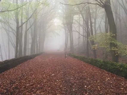 Day 15 Morning Meditation - This Moment Is As It Is