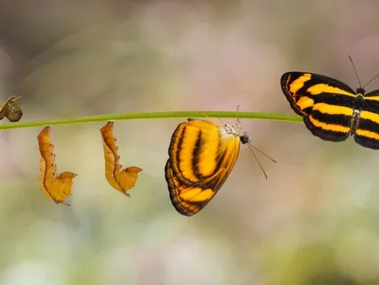 Day 15 Of 21-Day Meditation Challenge For Weight Loss