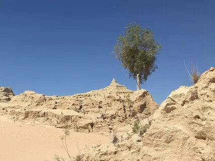 Day 15 - Releasing Negative Emotions - Daily 5 Minute