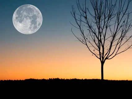 Day 16 Morning Meditation - Just Relax