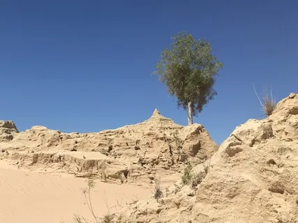 Day 16 - Positive Emotions - Daily 5 Minutes Meditation