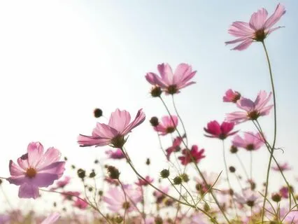 Day 16 - The Gratitude Breakfast Club