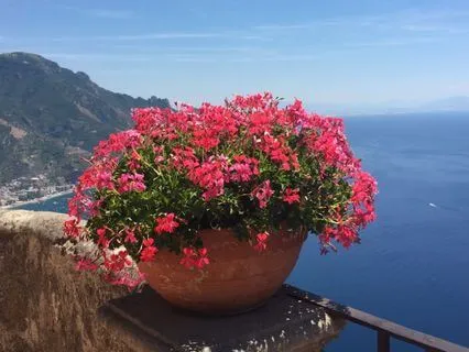 Day 18 Morning Meditation - Loving Kindness