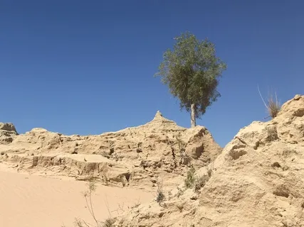 Day 18 - Perseverance - 5 Minute Daily Meditation