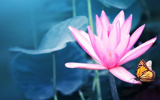 Day 18: Trauma Healing