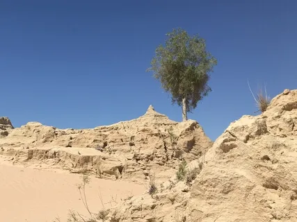 Day 19 - Expressing gratitude- Daily 5 minute meditation