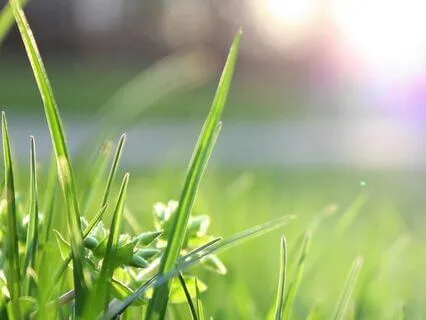 Day 2 - Breathe Light To Improve Biochemistry