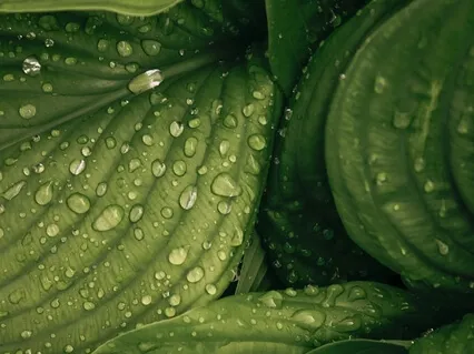 Day 2 Eco Challenge: Listening To Feelings