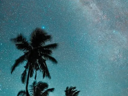 Day 2: Mastery Practice