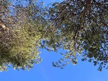 Day 2 – Meeting Shame With Compassion