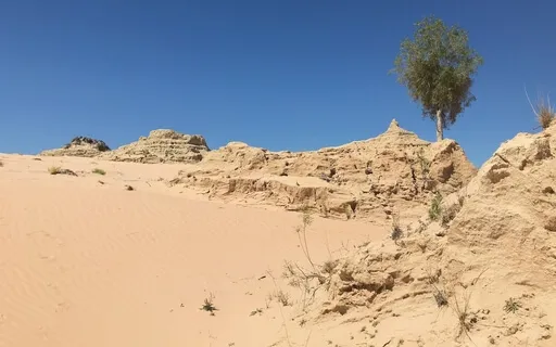 Day 2 Of Five Minutes Of Daily Meditations