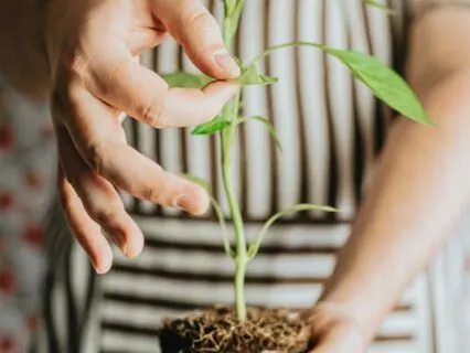 Day 2 · Release Anxiety Gently: Meet The Emotion