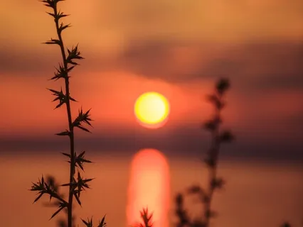 Day 2 Sacral Chakra Balancing