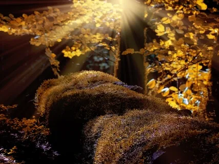 Day 2 - Simple Awareness (7-Day Anxiety Free)