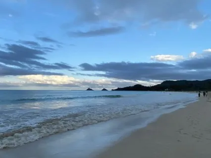 Day 2 | Yoga Sutras + Meditation