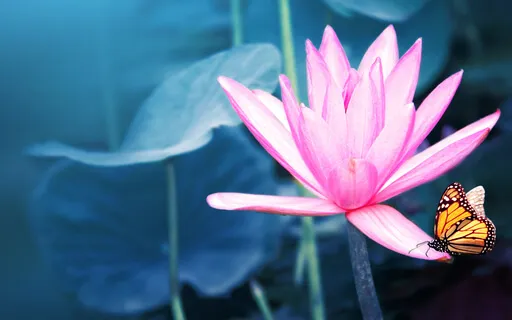 Day 20: Deep Healing