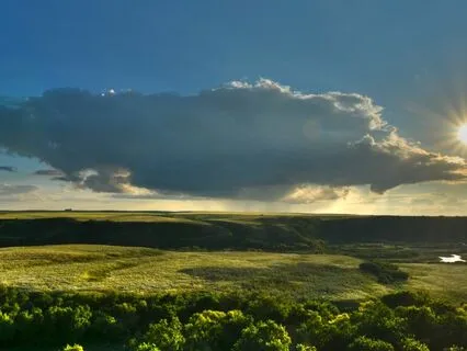 Day 20 - Supreme Love