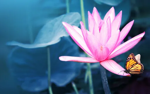 Day 21: Intuitive Flow