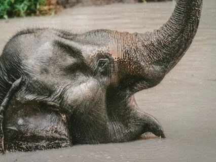 Day 21 Morning Meditation - Taking Off The Masks