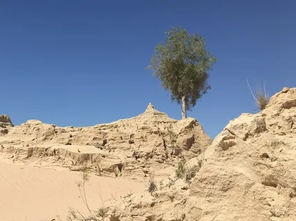 Day 22 - Purpose- Daily 5 Minute Meditation