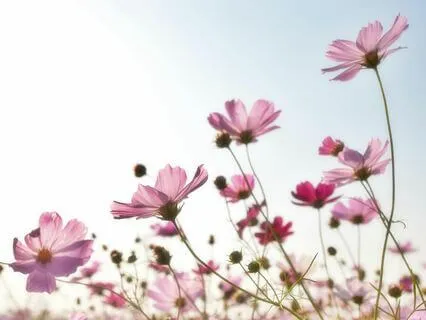 Day 22 - The Gratitude Breakfast Club