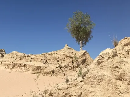 Day 23 - My Future Self - Daily 5 Minute Meditation