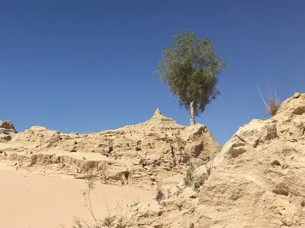 Day 24 - Thrilling Obsession- Daily 5 Minute Meditation