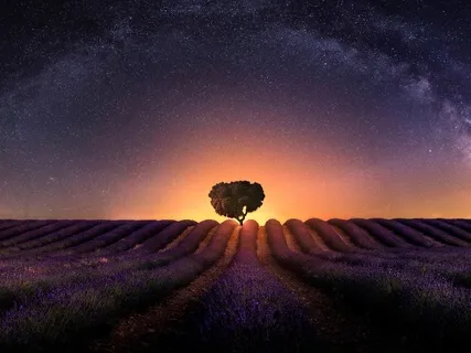 Day 25: Dissolving Into The Abyss 