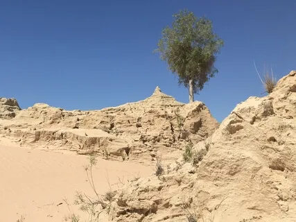 Day 25 - Friend- 5 Minute Daily Meditation