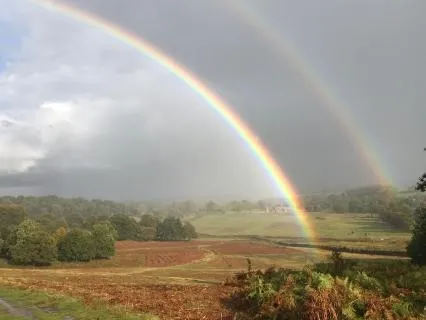 Day 25 Morning Meditation - Epiphany