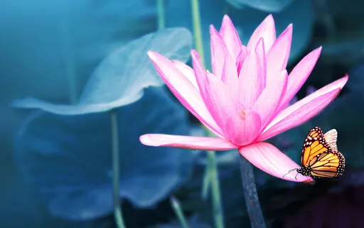 Day 26: Daily Intuitive Flow