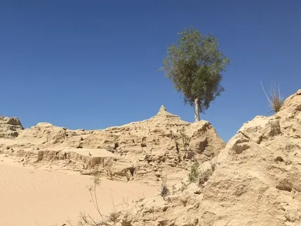 Day 26 - Solution- Daily 5 Minute Meditation