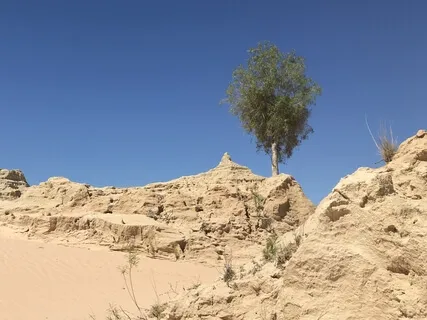 Day 27 - Love Is My Superpower - Daily 5 Minute Meditation