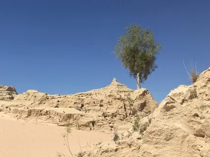 Day 28 - Calm Is My Other Superpower - Daily 5 Minute