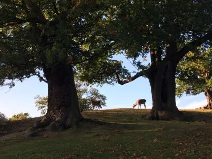 Day 29 Morning Meditation - How Change Happens