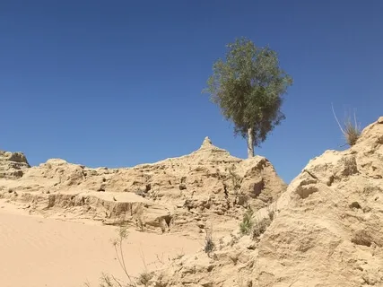 Day 29 - Visualisation - Daily 5 Minute Mediation